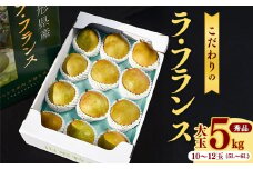 大きいサイズの ラ・フランス 5kg（10玉～12玉） 秀品 5L～6L 《化粧箱入》 農家直送 山形県産 【2025年11月頃～12月上旬頃発送予定】　024-B-HK004