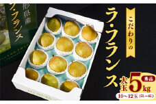 大きいサイズの ラ・フランス 5kg（10玉～12玉） 秀品 5L～6L 《化粧箱入》 農家直送 山形県産 【2025年11月頃～12月上旬頃発送予定】　024-B-HK004