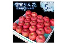 【先行予約】雪室 りんご「サンふじ」 5kg （サイズおまかせ） 山形県産 2025年産 令和7年産【2026年1月下旬頃～2月下旬頃発送予定】※ 配送不可 沖縄・離島　012-B-MM039