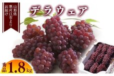 令和7年産 「デラウェア」約1.8kg （12-16房） 2025年産 秀品 種無しぶどう【2025年7月末頃から8月末頃発送予定】　012-B-MM010
