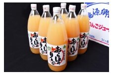 ストレート果汁100％ りんごジュース 1L×6本セット（非濃縮還元）「おらほのりんごジュース」　018-G-MM042