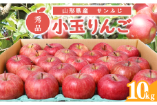 【先行予約】秀品 小玉りんご「サンふじ」 10kg （40 - 50玉入）【2026年1月上旬頃～下旬頃発送予定】　018-B-MM035