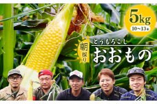 朝採り 農家直送 とうもろこし 5kg「おおもの」（10 - 13本） 山形産 【2025年8月上旬頃から9月下旬頃発送予定】　012-B-HK011