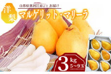 洋梨 「追熟 マルゲリット・マリーラ」 3kg（5 - 9玉） 秀品 山形産 【2025年9月下旬頃から10月上旬頃発送予定】　012-B-MM023