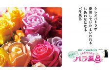 ご自宅用 バラ風呂セット（48輪）山形県産 ／ 薔薇 お取り寄せ 特産 名物 産地直送 ばら ギフト プレゼント フラワー ローズ 花 祝 贈答 記念 植物 癒し 香り 豪華 女子力 彼女 妻 母 女性 友達 コスプレ バス リラックス 撮影 国産 東北 山形　021-K-JS002