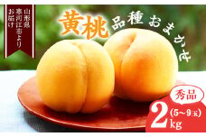 山形の黄桃 秀品 2kg（5 - 9玉） 品種おまかせ 秀品 山形県産【2025年8月中旬頃から9月下旬頃発送予定】2025年産 令和7年産　012-B-MM017