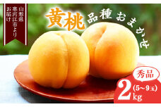 山形の黄桃 秀品 2kg（5 - 9玉） 品種おまかせ 秀品 山形県産 2025年産 令和7年産【2025年8月中旬頃から9月下旬頃発送予定】※ 配送不可 沖縄・離島　012-B-MM017