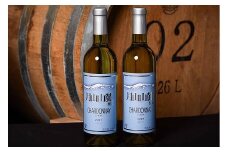 《山形県産ぶどう100％》月山山麓 シャルドネヴィンテージ 白ワイン 辛口 （720ml×2本）　018-E-CK011