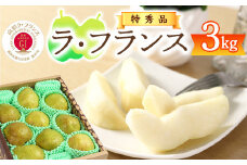 令和7年産 特秀品 「ラ・フランス」 3kg 《GI認証》 化粧箱入り サイズおまかせ 山形産 2025年産 【2025年11月中旬頃から12月末頃発送予定】　012-B-AF005
