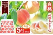 山形の白桃 秀品 5kg（13 - 20玉） 品種おまかせ 秀品 山形県産【2025年8月上旬頃から9月下旬頃発送予定】2025年産 令和7年産　022-B-MM013