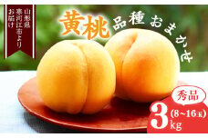山形の黄桃 秀品 3kg（8 - 16玉） 品種おまかせ 秀品 山形県産【2025年8月中旬頃から9月下旬頃発送予定】2025年産 令和7年産　015-B-MM018