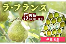 【保護包装品】山形産 洋梨「ラ・フランス」5kg（14玉 - 18玉） 秀品 サイズおまかせ 【2025年10月末頃から12月上旬頃】／ ラフランス 果物 フルーツ 季節 秋 東北 山形県産 2025年産 令和7年産 5キロ　017-B-JA006