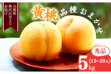 山形の黄桃 秀品 5kg（13 - 20玉） 品種おまかせ 秀品 山形県産【2025年8月中旬頃から9月下旬頃発送予定】2025年産 令和7年産　022-B-MM019
