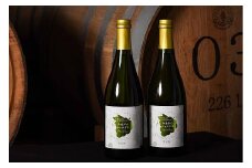 《山形県産ぶどう100％》やまがた シャルドネ スパークリング ワイン 白（750ml×2本）　020-E-CK017