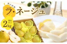 洋梨「ラ・ネージュ」 2kg（5～10玉） 秀品以上 《化粧箱入り》 サイズおまかせ 山形県産 【2025年11月下旬頃から12月下旬頃発送予定】／ 果物 フルーツ くだもの お取り寄せ ご当地 特産 東北 冬 ラネージュ デザート 贈答 山形産 2025年産 令和7年産 2キロ　012-B-AF006