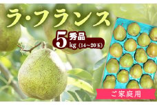 【ご自宅用】山形産 洋梨「ラ・フランス」5kg（14玉 - 20玉）秀品 サイズおまかせ 【2025年10月末頃から12月上旬頃】／ ラフランス 果物 フルーツ 季節 秋 東北 山形県産 2025年産 令和7年産 5キロ　014-B-JA004