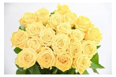 【黄色系】薔薇の花 20本×長さ60cm （切り花延命剤付属）【 花 植物 バラ ばら 華道 フラワー アレンジメント ローズ お祝い 装飾 花瓶 風呂 綺麗 きれい 美しい 癒し いやし 香り お取り寄せ 特産 名物 名産 産地直送 東北 山形県 寒河江市 】　018-K-MM034-yellow