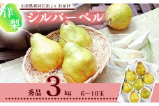 洋梨 「追熟 シルバーベル 」 3kg 秀品 （6 - 10玉） 秀品 山形産【2025年12月頃から2026年1月頃発送予定】　012-B-MM031
