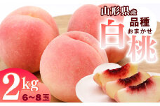 山形県産 白桃 2kg 品種おまかせ 秀品 【2025年8月上旬頃から9月下旬頃発送予定】／ 果物 フルーツ 果実 産地直送 新鮮 夏 お取り寄せ ご当地 ピーチ 果汁 JA もも 山形産 山形県 寒河江市 2025年産 令和7年産 2キロ　010-B-JA047