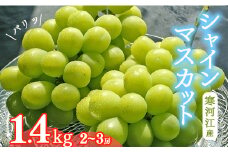 「シャインマスカット」 2-3房（計1.4kg） 山形県産 2025年産 令和7年産 【2025年9月下旬頃から10月下旬頃発送予定】 ※ 配送不可 沖縄・離島　018-B-MM022