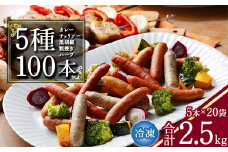 【本格バルの味】５種のウインナー 合計2.5kg（125g×小分け20パック：計100本） ／ お取り寄せ 小分け 個包装 便利 冷凍 保存 備蓄 あらびき ソーセージ 食べ比べ 大容量 業務用 湯煎 牛 豚 肉 アウトドア バーベキュー 焼肉 おかず おつまみ 弁当 国内製造 東北 山形　021-D-NB003