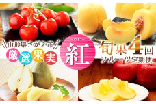 《4回定期便》令和7年産 山形県産「フルーツ 定期便 紅（べに）」さくらんぼ（紅秀峰）・ 黄桃・洋梨（ラ・フランス）・りんご（サンふじ）【2025年6月中旬頃から発送開始予定】049-B-MM079