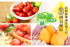 3回定期便 令和7年産「フルーツ 定期便 萌（もえ）」【2025年6月上旬頃から発送開始予定】 2025年産　037-B-MM066