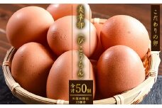 【2025年9月10日頃発送分】濃厚たまご 「美幸卵」 計50個 （割れ保証10個含む）山形産 【 お取り寄せ 国産 玉子 たまご タマゴ エッグ 新鮮 TKG ごはん ご飯 すき焼き すきやき パティシエ 御用達 スイーツ 朝食 お菓子 東北 山形県 寒河江市 板垣養鶏場 】　013-G-BK006-09