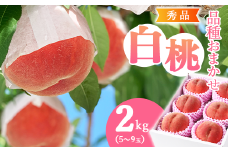 有機肥料栽培 白桃 2kg（5～9玉） 秀品 品種おまかせ 山形産 2025年産 令和7年産 山形県産 【2025年8月下旬頃～9月下旬頃発送予定】　012-B-AF007