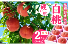 有機肥料栽培 硬めの 白桃 2kg（5～9玉） 秀品 品種おまかせ 山形産 2025年産 令和7年産 山形県産【2025年8月下旬頃～10月上旬頃発送予定】　012-B-AF008
