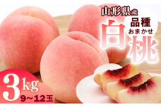山形県産 白桃 3kg 品種おまかせ 秀品 【2025年8月上旬頃から9月下旬頃発送予定】／ 果物 フルーツ 果実 産地直送 新鮮 夏 お取り寄せ ご当地 ピーチ 果汁 JA もも 山形産 山形県 寒河江市 2025年産 令和7年産 3キロ　014-B-JA048
