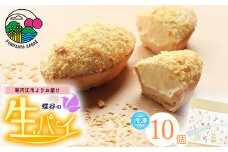 こだわりクリームの「生パイ」10個　008-G-CY001