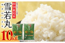 【特別栽培米】 雪若丸 10kg（5kg×2袋）／ 2024年産 令和6年産 山形県産 山形産 白米 精米 小分け 便利 弁当 ブランド米 ごはん ご飯 東北 国産 10キロ 山形県寒河江市　024-C-JA042