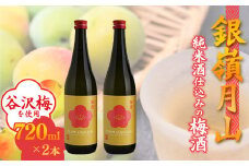 銀嶺月山 純米酒仕込みの梅酒（720ml×2本セット）【貴重な山形県産ブランド梅「谷沢梅」を使用】　018-E-GS017