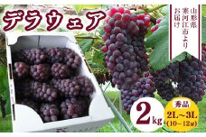種なし ぶどう「デラウェア」2kg 秀品 2L～3Lサイズ（10～12房）《2025年7月下旬頃～8月上旬頃発送予定》　013-B-CS007