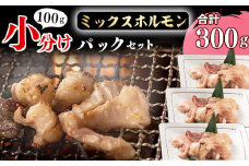 【45営業日以内配送】《 お試しにちょうどいい》焼肉店でも人気の国産牛ホルモンMIXが100g×3パック！　006-D-YL001