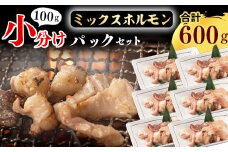 【45営業日以内配送】小分けで鮮度抜群！焼肉店でも人気の 牛ホルモンMIXが6パック！100gずつで使いやすい 　012-D-YL005