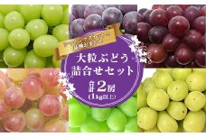 シャインマスカットと人気のぶどう 食べ比べ セット 計2房（計1kg以上）品種おまかせ 【2025年9月中旬頃から10月下旬頃発送予定】 ／ 2025年産 令和7年産 農家直送 生産者直送 山形県産 山形産 産地直送 果物 フルーツ 葡萄 東北 詰め合わせ 詰合せ　015-B-JF013