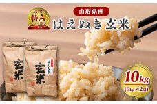 【令和7年産】はえぬき 玄米 10kg（5kg×2袋）2025年産【2025年10月頃から12月頃に順次発送予定】　026-C-JF006-2025