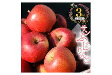 こだわり農家の 有機質肥料栽培 りんご 3kg 秀品 「サンふじ」（7～9玉） 【2025年11月頃より順次発送予定】　014-B-JF003