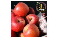 こだわり農家の 有機質肥料栽培 りんご 3kg 秀品 「サンふじ」（7～9玉） 【2025年11月頃より順次発送予定】　014-B-JF003