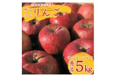 こだわり農家の 有機質肥料栽培 りんご 5kg 秀品 「サンふじ」（12～20玉） 【2025年11月頃より順次発送予定】　015-B-JF002