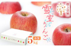 雪室りんご 5kg「樹上完熟 ふじりんご」 小玉サイズ 山形産 【2026年1月中旬頃～3月頃 発送予定】 2025年産 令和7年産 山形県　020-B-NG002