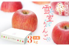 雪室りんご 3kg「樹上完熟 ふじりんご」 小玉サイズ 山形産 【2026年1月中旬頃～3月頃 発送予定】 2025年産 令和7年産 山形県　013-B-NG001