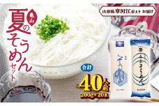 創業百年の老舗 夏のそうめんセット 40人前 （計20束）亀山製麺所　013-F-KY009