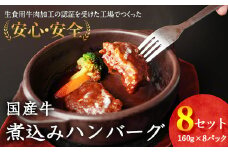 【45営業日以内配送】国産牛使用 煮込みハンバーグ（160g×8個）湯煎で温めるだけ 《こだわり製法のデミグラス》　014-D-YL009