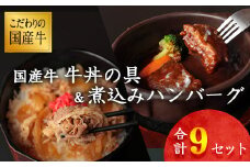 【45営業日以内配送】国産牛 牛丼の具&煮込みハンバーグ 満足の9個セット 《こだわりソースと玉ねぎが旨い簡単惣菜》 湯煎で温めるだけ　014-D-YL008