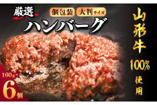 【45営業日以内配送】黒毛和牛「山形牛」100％ 贅沢 ハンバーグ  （160g×6個）【調味料・保存料なし】　012-D-YL002