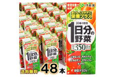 1日分の伊藤園 1日分の野菜 200ml×48本（24本×2ケースセット）／ 野菜ジュース 野菜 ジュース 栄養 健康 ソフトドリンク 紙パック 国内製造　022-G-IT007