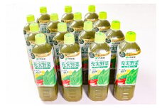 伊藤園 充実野菜 緑の野菜 740g×15本セット（1ケース） ／ 野菜ジュース 飲料 ソフトドリンク ペットボトル PET 1箱 備蓄 常備 まとめ買い 箱買い ケース買い 国内製造  018-G-IT005